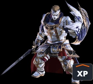 Main Job Leveling